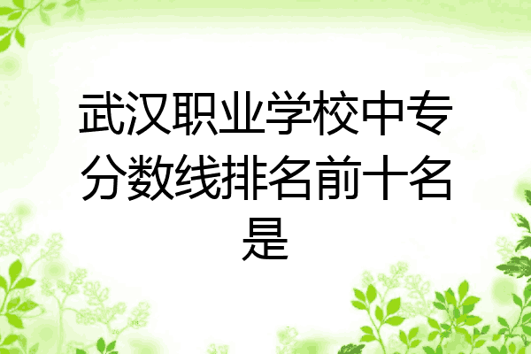 武汉职业学校中专分数线排名前十名是
