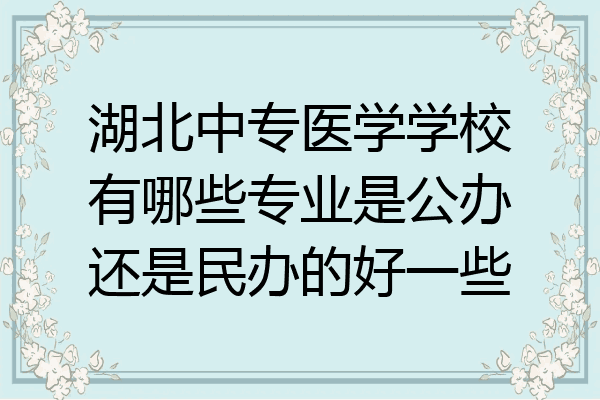 湖北中专医学学校有哪些专业是公办还是民办的好一些
