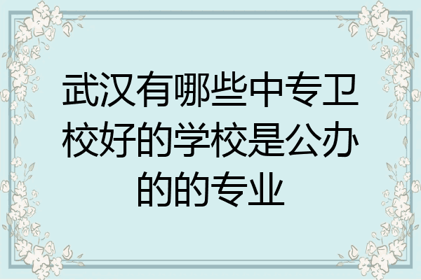 武汉有哪些中专卫校好的学校是公办的的专业
