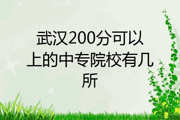 武汉200分可以上的中专院校有几所