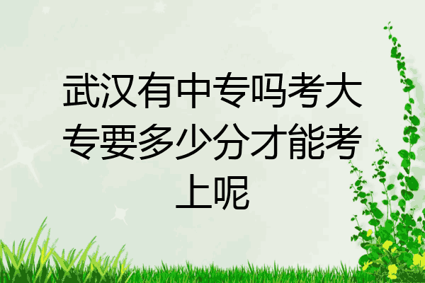 武汉有中专吗考大专要多少分才能考上呢
