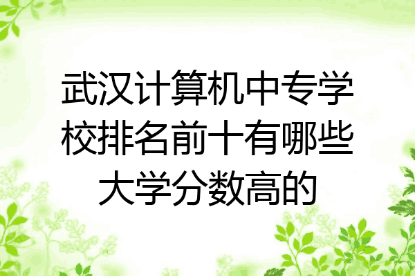 武汉计算机中专学校排名前十有哪些大学分数高的