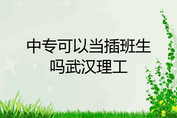 中专可以当插班生吗武汉理工