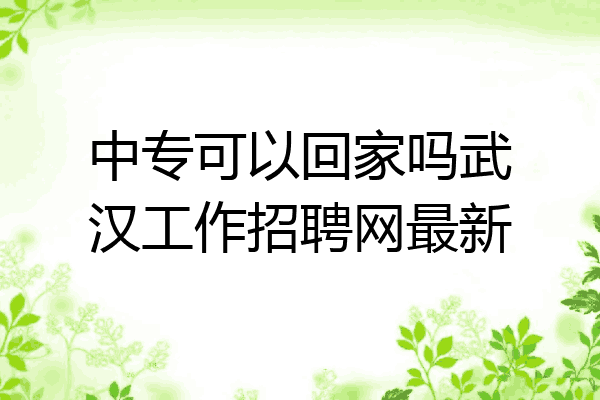中专可以回家吗武汉工作招聘网最新