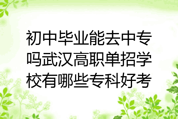 初中毕业能去中专吗武汉高职单招学校有哪些专科好考