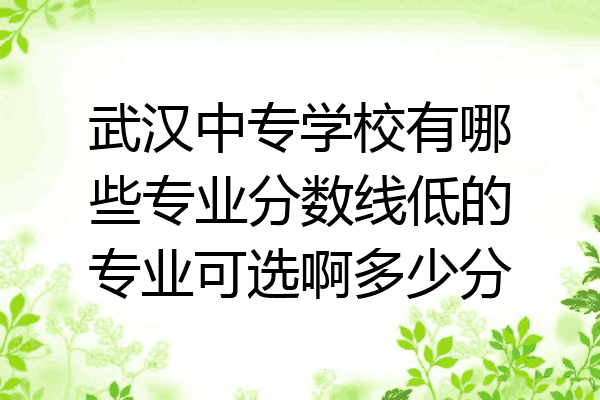 武汉中专学校有哪些专业分数线低的专业可选啊多少分