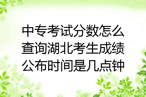 中专考试分数怎么查询湖北考生成绩公布时间是几点钟