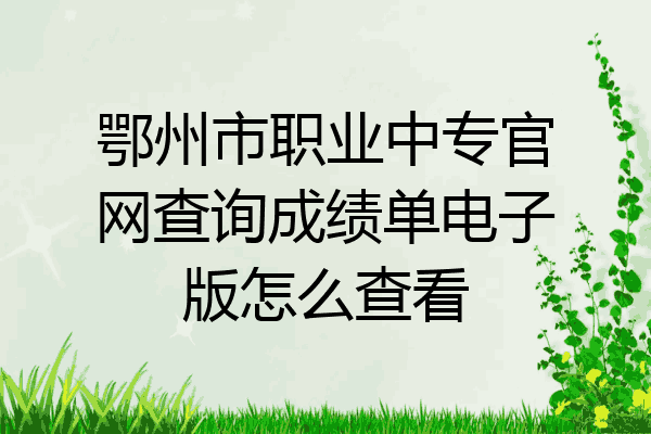 鄂州市职业中专官网查询成绩单电子版怎么查看
