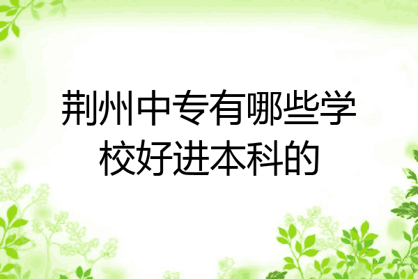 荆州中专有哪些学校好进本科的