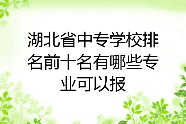 湖北省中专学校排名前十名有哪些专业可以报