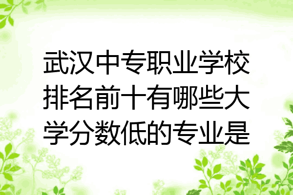 武汉中专职业学校排名前十有哪些大学分数低的专业是