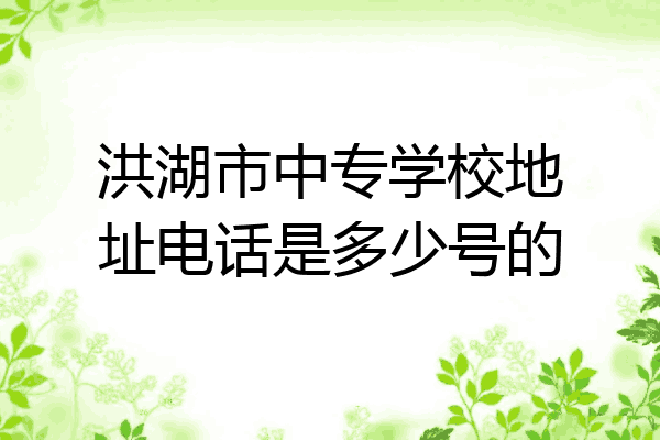 洪湖市中专学校地址电话是多少号的