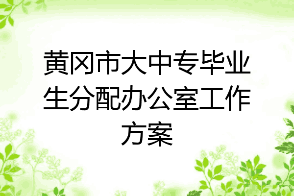 黄冈市大中专毕业生分配办公室工作方案