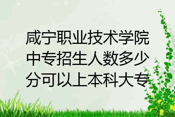 咸宁职业技术学院中专招生人数多少分可以上本科大专