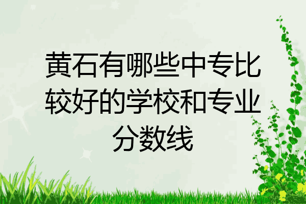 黄石有哪些中专比较好的学校和专业分数线
