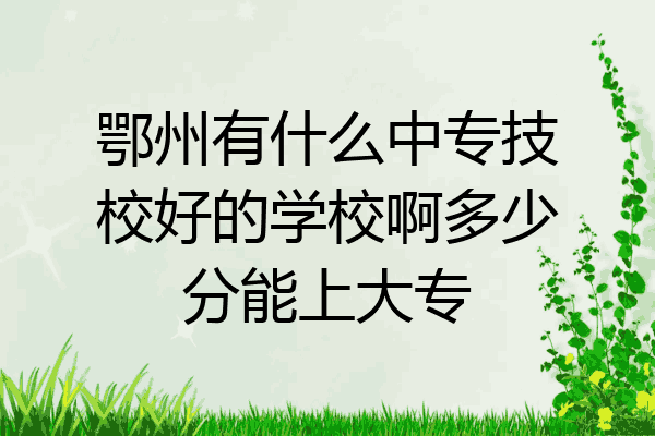 鄂州有什么中专技校好的学校啊多少分能上大专