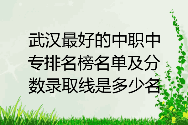 武汉最好的中职中专排名榜名单及分数录取线是多少名