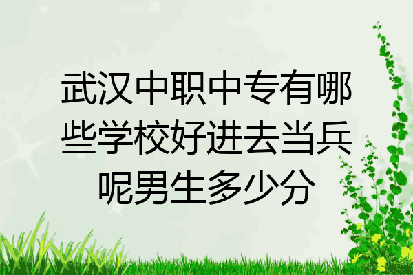武汉中职中专有哪些学校好进去当兵呢男生多少分