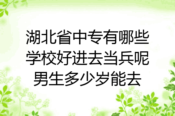 湖北省中专有哪些学校好进去当兵呢男生多少岁能去