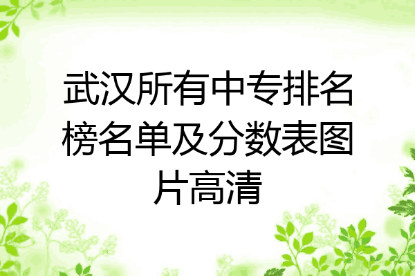 武汉所有中专排名榜名单及分数表图片高清