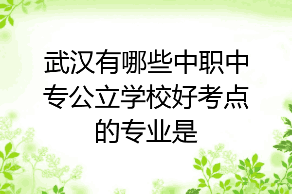 武汉有哪些中职中专公立学校好考点的专业是