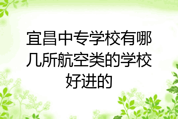 宜昌中专学校有哪几所航空类的学校好进的