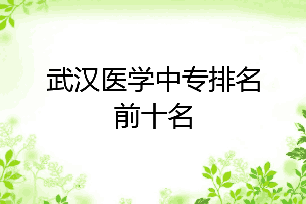 武汉医学中专排名前十名