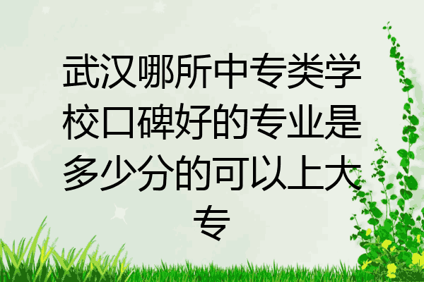 武汉哪所中专类学校口碑好的专业是多少分的可以上大专