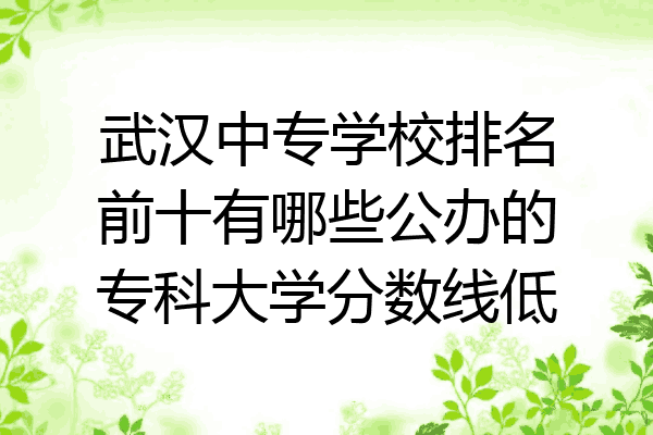 武汉中专学校排名前十有哪些公办的专科大学分数线低