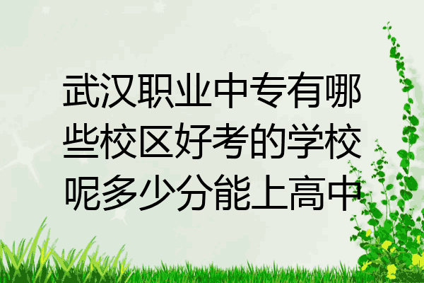 武汉职业中专有哪些校区好考的学校呢多少分能上高中