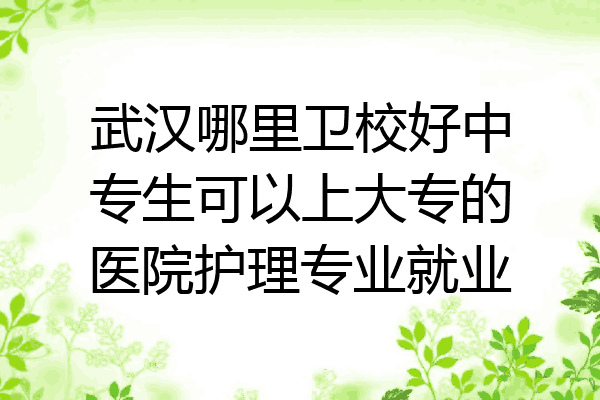 武汉哪里卫校好中专生可以上大专的医院护理专业就业