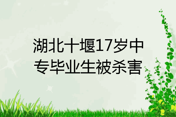 湖北十堰17岁中专毕业生被杀害