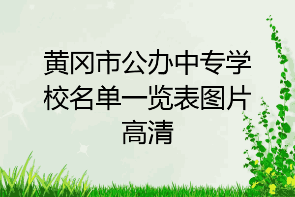 黄冈市公办中专学校名单一览表图片高清