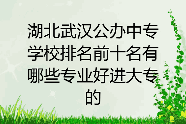 湖北武汉公办中专学校排名前十名有哪些专业好进大专的
