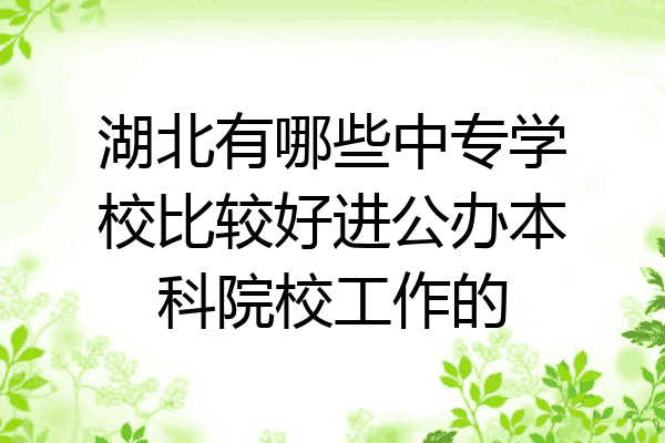 湖北有哪些中专学校比较好进公办本科院校工作的