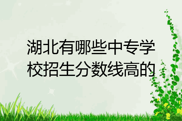 湖北有哪些中专学校招生分数线高的