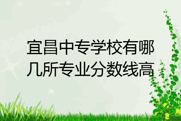宜昌中专学校有哪几所专业分数线高