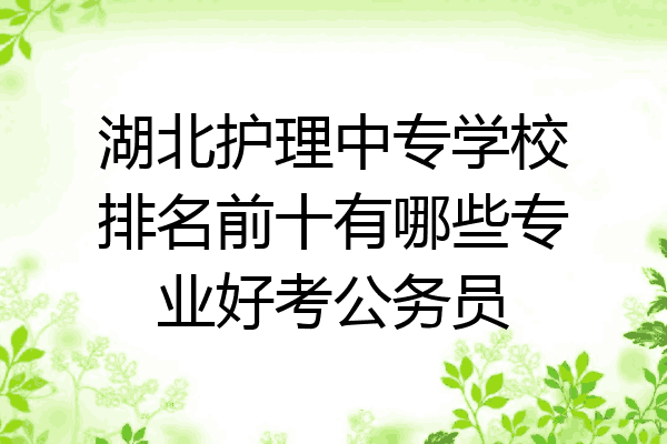 湖北护理中专学校排名前十有哪些专业好考公务员
