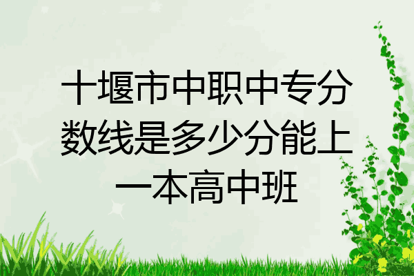 十堰市中职中专分数线是多少分能上一本高中班