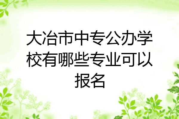 大冶市中专公办学校有哪些专业可以报名