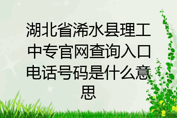 湖北省浠水县理工中专官网查询入口电话号码是什么意思