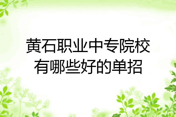 黄石职业中专院校有哪些好的单招