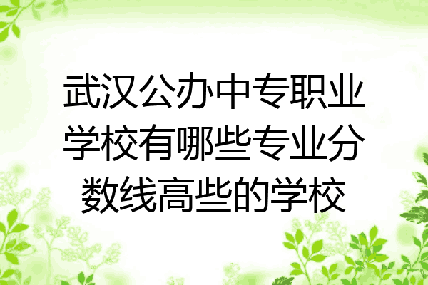 武汉公办中专职业学校有哪些专业分数线高些的学校