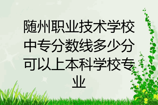 随州职业技术学校中专分数线多少分可以上本科学校专业
