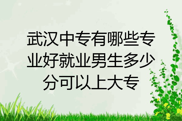 武汉中专有哪些专业好就业男生多少分可以上大专