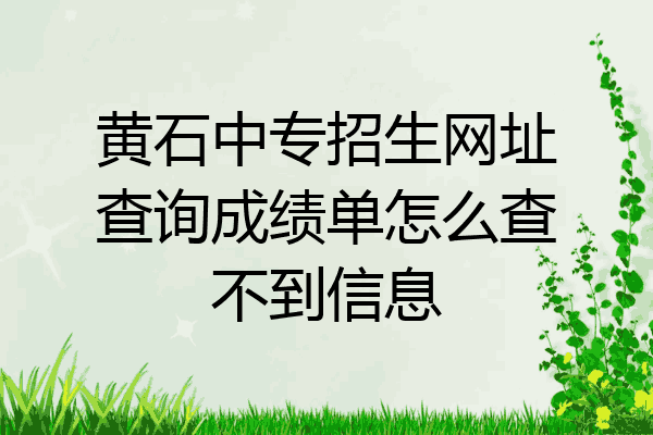 黄石中专招生网址查询成绩单怎么查不到信息