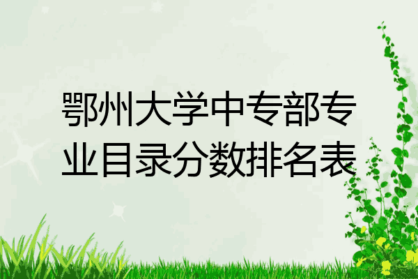 鄂州大学中专部专业目录分数排名表