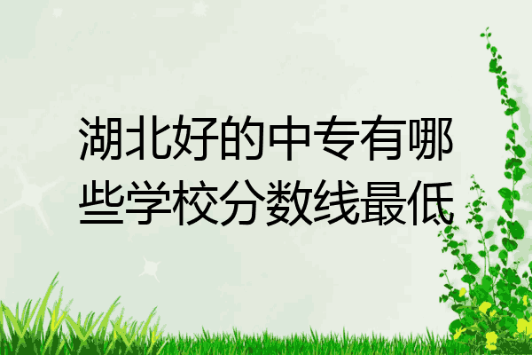 湖北好的中专有哪些学校分数线最低