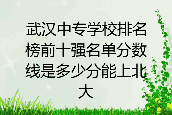 武汉中专学校排名榜前十强名单分数线是多少分能上北大