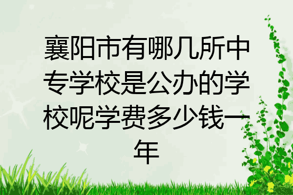 襄阳市有哪几所中专学校是公办的学校呢学费多少钱一年